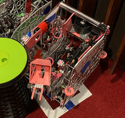 Macadamia | 2021-2022